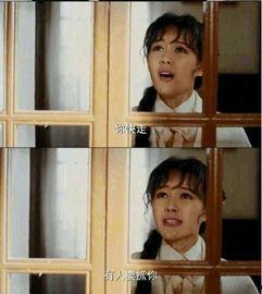 国产对白视频,展现中国故事魅力