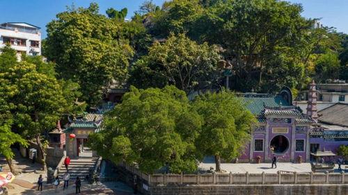 69视频国产免费,揭秘热门国产影视资源平台